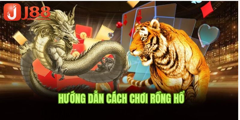 Theo dõi cách chơi rồng hổ cơ bản