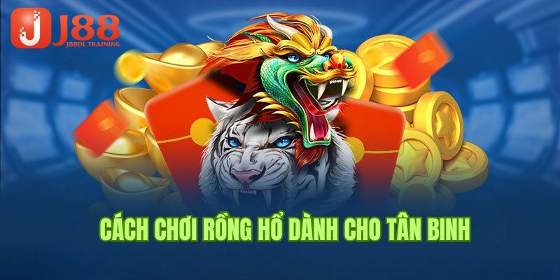 Cách đặt cược rồng hổ nên nắm