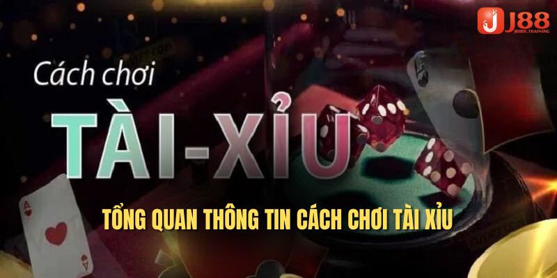 Tổng quan thông tin cách chơi tài xỉu